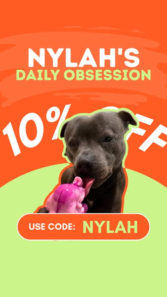 Nylah the blue Staffy ad