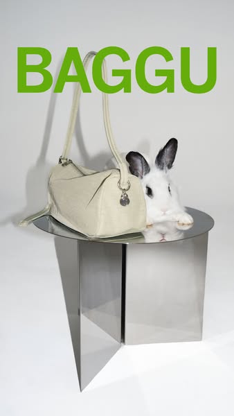 This ad features a BAGGU purse on a table next to a bunny. This ad seems to be targeting a younger audience and those wh