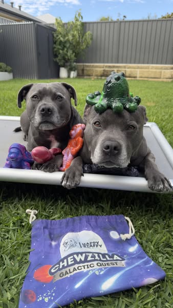 Archie & Ollie ad