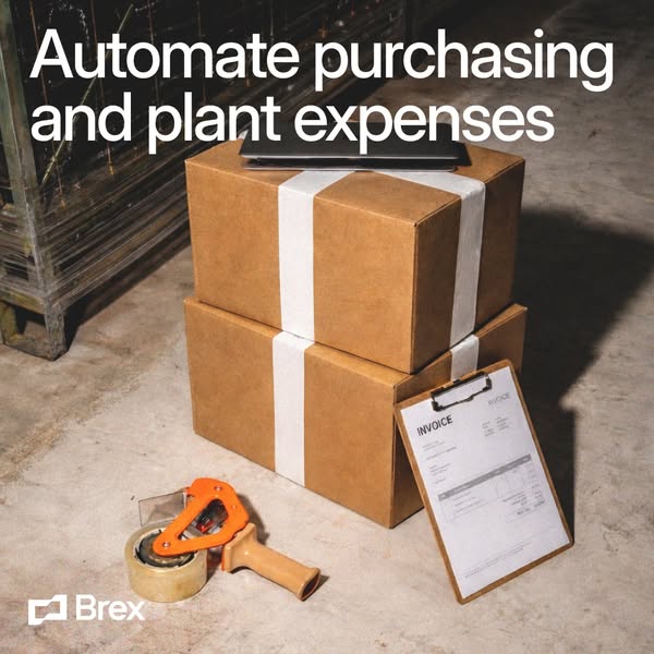 This image ad for Brex targets business owners who are frustrated with plant expenses and the purchasing process. The ad