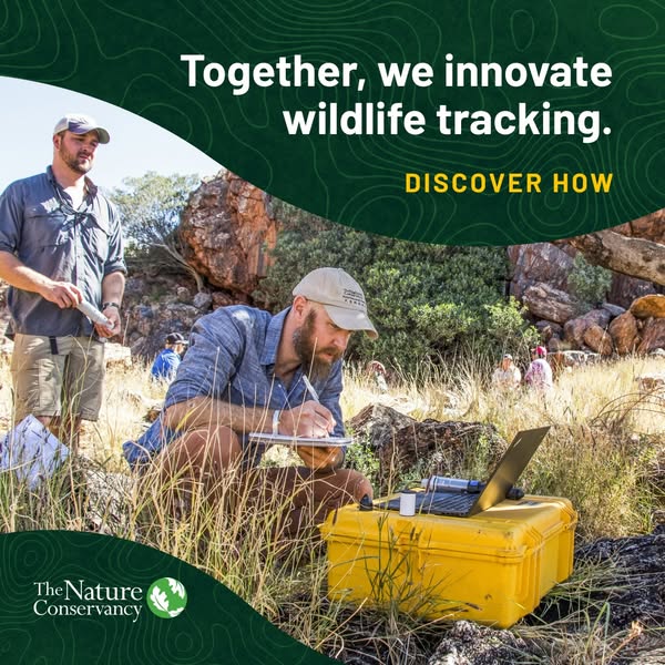 This image ad highlights the Nature Conservancy's efforts in innovating wildlife tracking. It features two men worki
