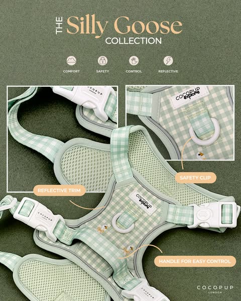 This ad showcases the Cocopup London 'Silly Goose' dog harness. It uses clear close-up visuals and simple annota