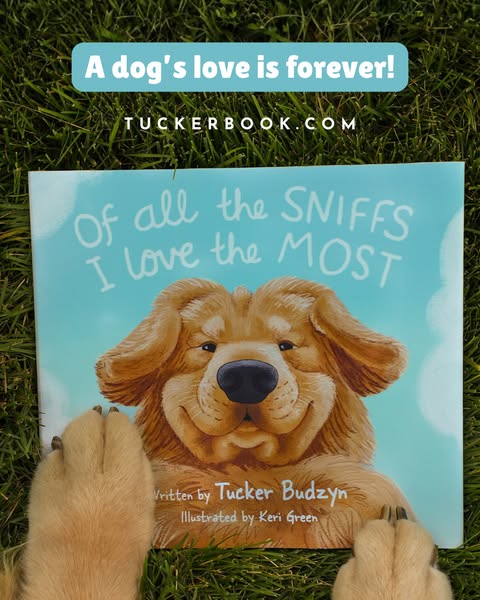 Tucker Budzyn ad