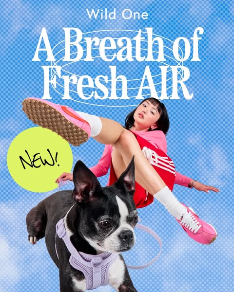 This ad features a woman and a dog in an outdoor setting to promote the brand's pet accessories and footwear. It use