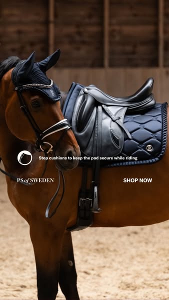An ad featuring horse riding equipment, highlighting the features and benefits of the product. The ad targets horse ridi