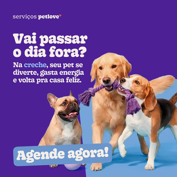This ad promotes Petlove's dog daycare services. It starts by asking if you're going to be out all day, then it 