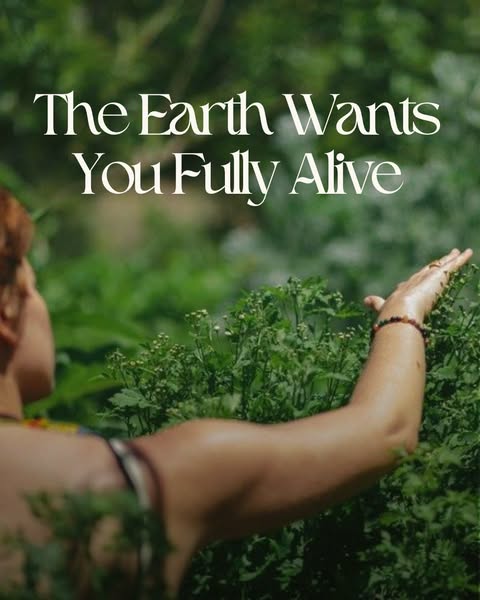 School of the Sacred Wild : Regenerative Healing for Earth & People ad
