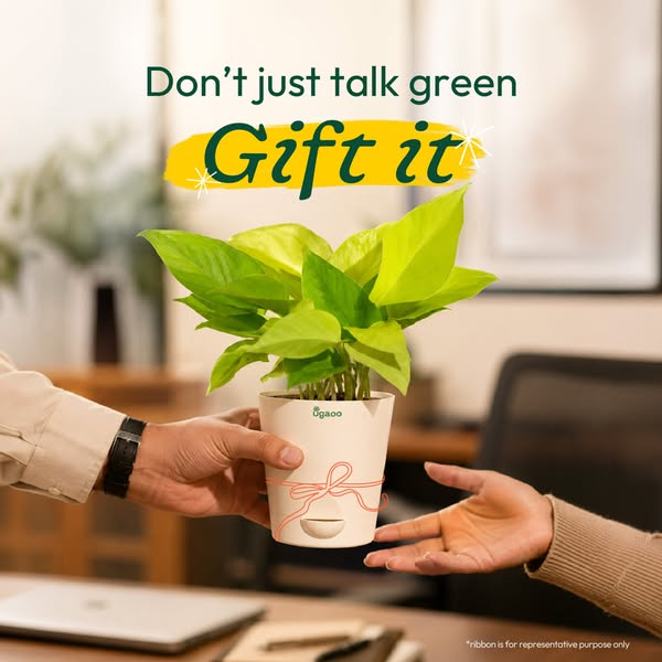 The ad features a small potted plant being handed from one person to another, promoting the idea of gifting plants as an
