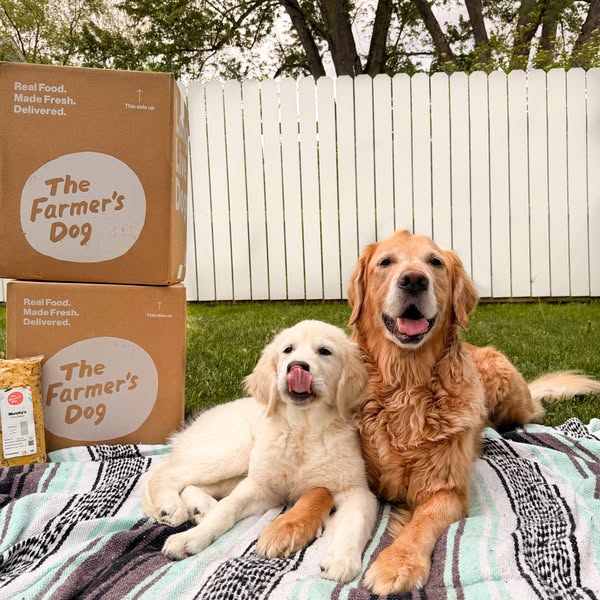 themgoldenboys ad