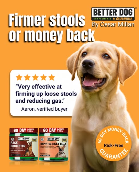 Cesar Millan ad