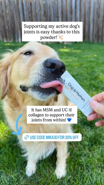 Goldenpup.mika ad