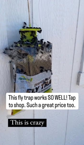 The Sassy Barn ad
