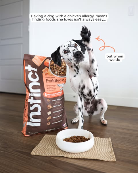 My Wild Meadows ad