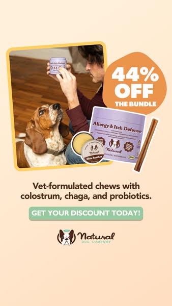 This image ad promotes Natural Dog Company's allergy and itch defense bundle, highlighting a 44% discount. It featur