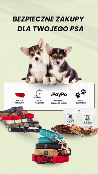TATAR DOG - Krzysztof Tatar ad