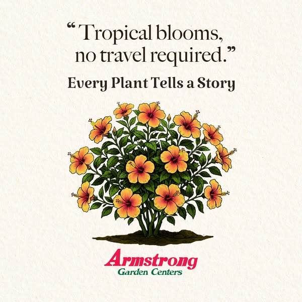 Armstrong Garden Centers ad
