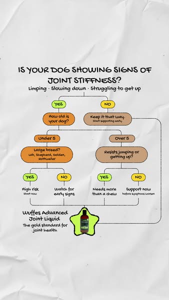 This ad uses a flow chart to determine if your dog needs Wuffes Advanced Joint Liquid, depending on their age, breed, an