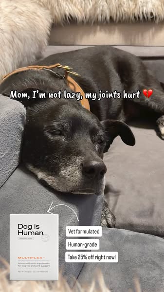 Dog is Human ad
