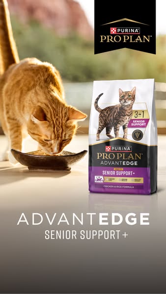 This ad is for Purina Pro Plan Advantage Senior Support+ cat food. The ad features a close-up shot of an orange tabby ca
