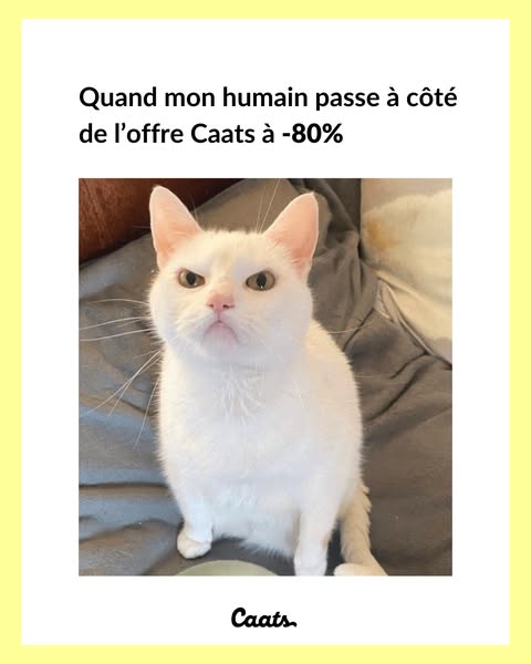This ad from Caats features an unimpressed-looking white cat and explains that this is its reaction when its human misse