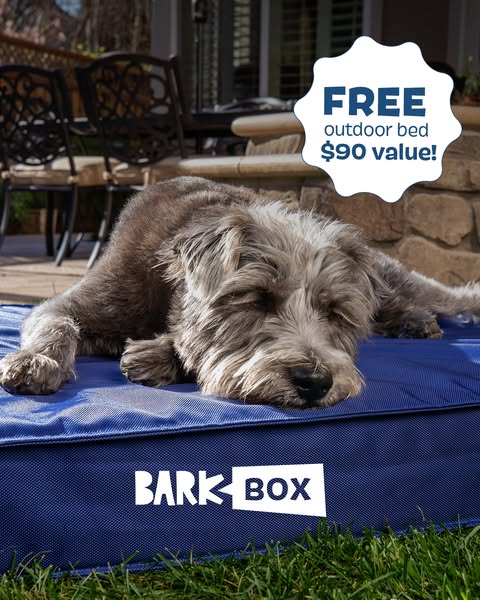 This Meta ad for BarkBox features a dog laying on a blue BarkBox outdoor bed. The ad promotes a limited-time offer of a