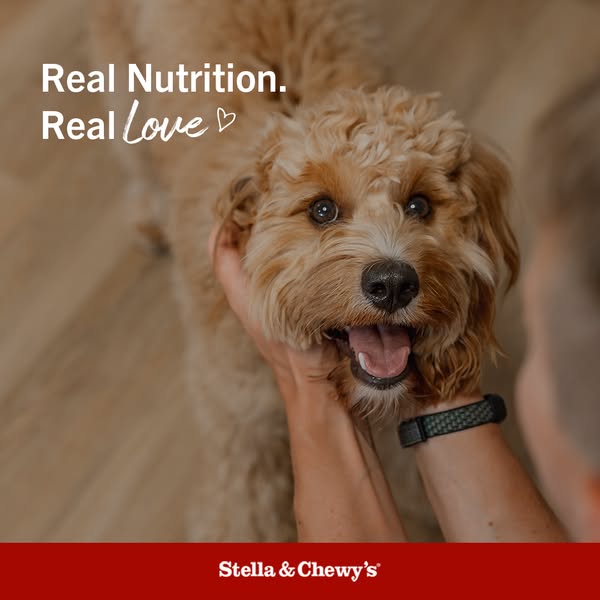 An image ad for Stella & Chewy's dog food, highlighting the brand's commitment to real nutrition and real lo