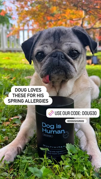 Doug The Pug ad
