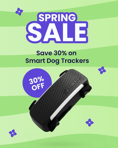 This ad promotes Tractive dog trackers with a spring sale offering 30% off.