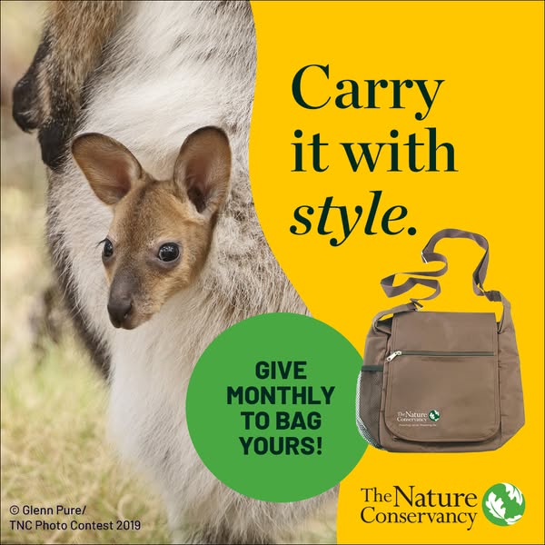 This image ad encourages monthly donations to The Nature Conservancy by offering a branded bag as a gift. The ad feature