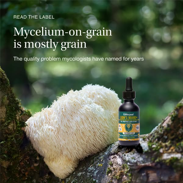 This ad for Olifecykel brand Lion's Mane+ mushroom supplement speaks to the problem of mycelium-on-grain mushroom su