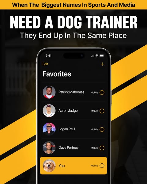 Tom Davis Dog Training ad