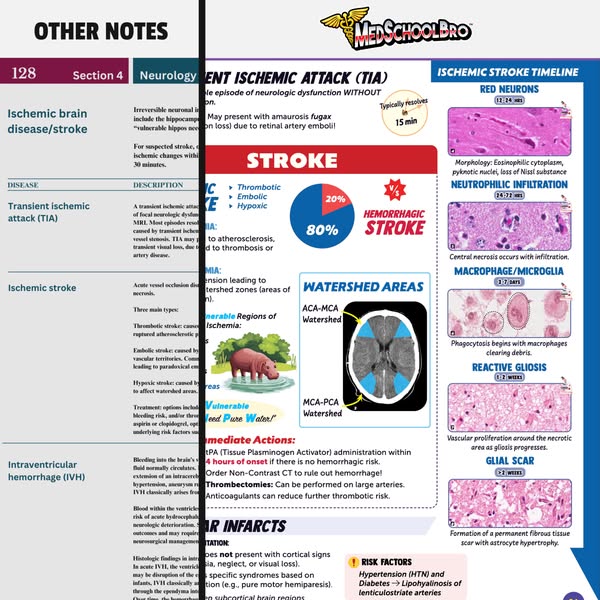 MedSchoolBro ad