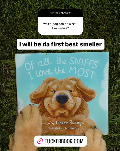 Tucker Budzyn ad