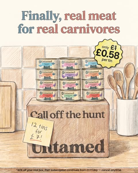 This ad uses a cartoonish visual style to promote a sale on Untamed cat food.