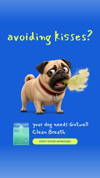 Native Pet ad