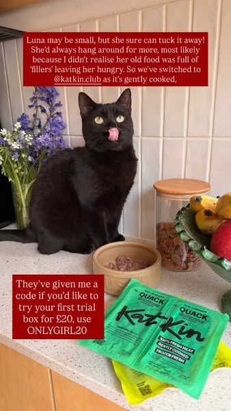 An ad for KatKin cat food that features a real customer's testimonial about how their cat prefers the brand because 