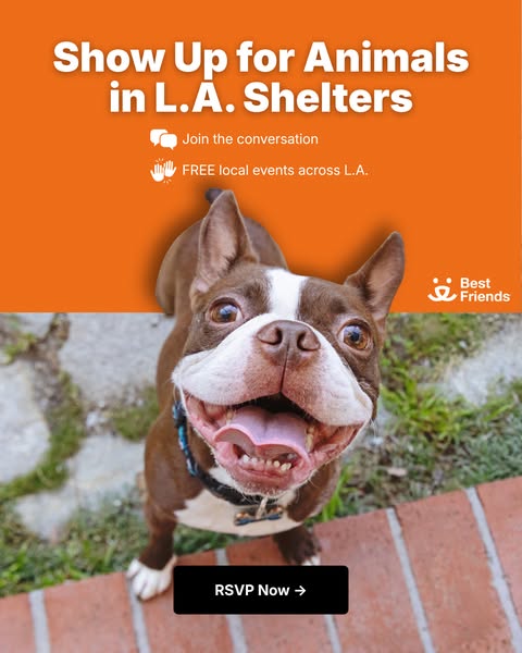 An image ad promoting animal shelters in Los Angeles. The ad encourages viewers to "Show Up for Animals" in L.