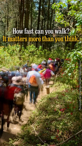 National Geographic ad
