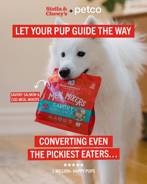 This ad for Stella & Chewy's Meal Mixers features a white dog holding a bag of the product in its mouth. The ad 