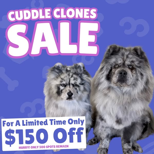 This ad is for Cuddle Clones. It features a discount for a limited time only.