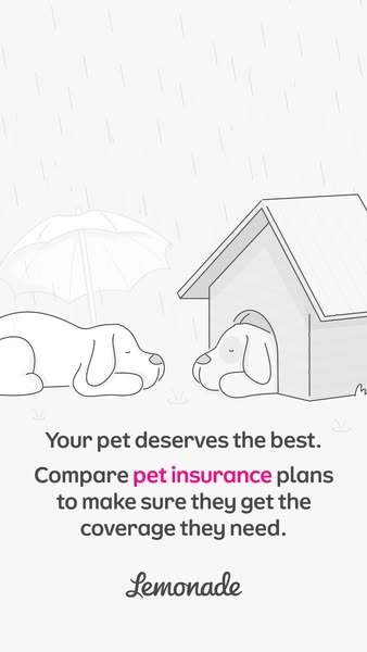 This image ad for Lemonade pet insurance features a cartoon drawing of two dogs in the rain. One dog is lying down under