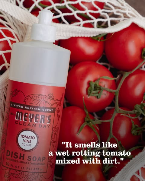 This image ad is for Meyer's Clean Day dish soap in a limited edition tomato vine scent. The ad features a product s