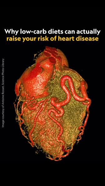 The image ad highlights a potential health risk associated with low-carb diets by presenting a detailed 3D image of a hu