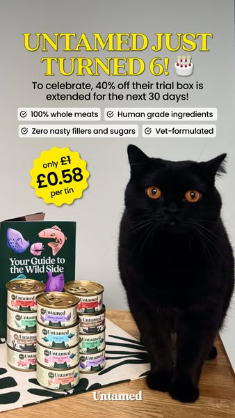 Clementine Meows ad