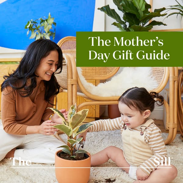 This ad promotes The Sill as a go-to gift source for Mother's Day. It features a mother and daughter tending to a po
