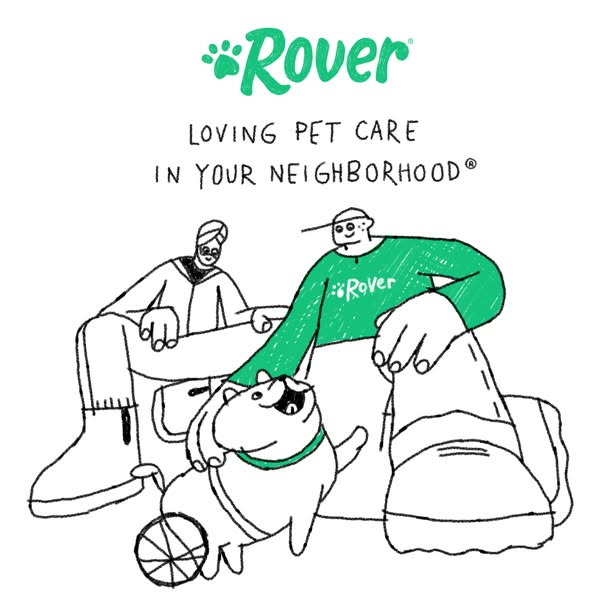 This ad features a hand-drawn style illustration of two people and a dog. The ad promotes Rover, a pet care service.