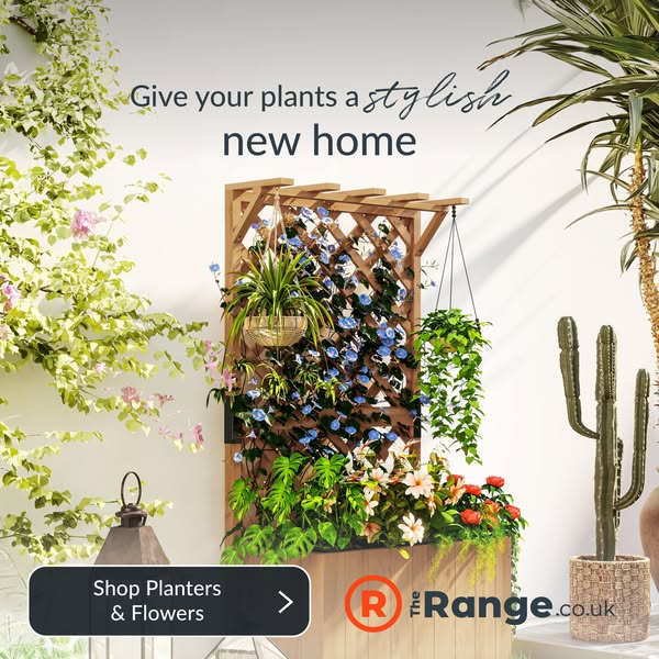 This ad showcases a selection of The Range's planters and flowers. The image features a white wall with greenery and