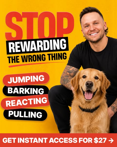 Tom Davis Dog Training ad