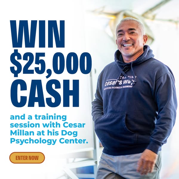 Cesar Millan ad