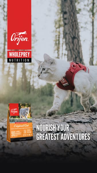This ad features an image of a cat wearing a harness on a log outdoors, along with a bag of Orijen cat food. The ad prom